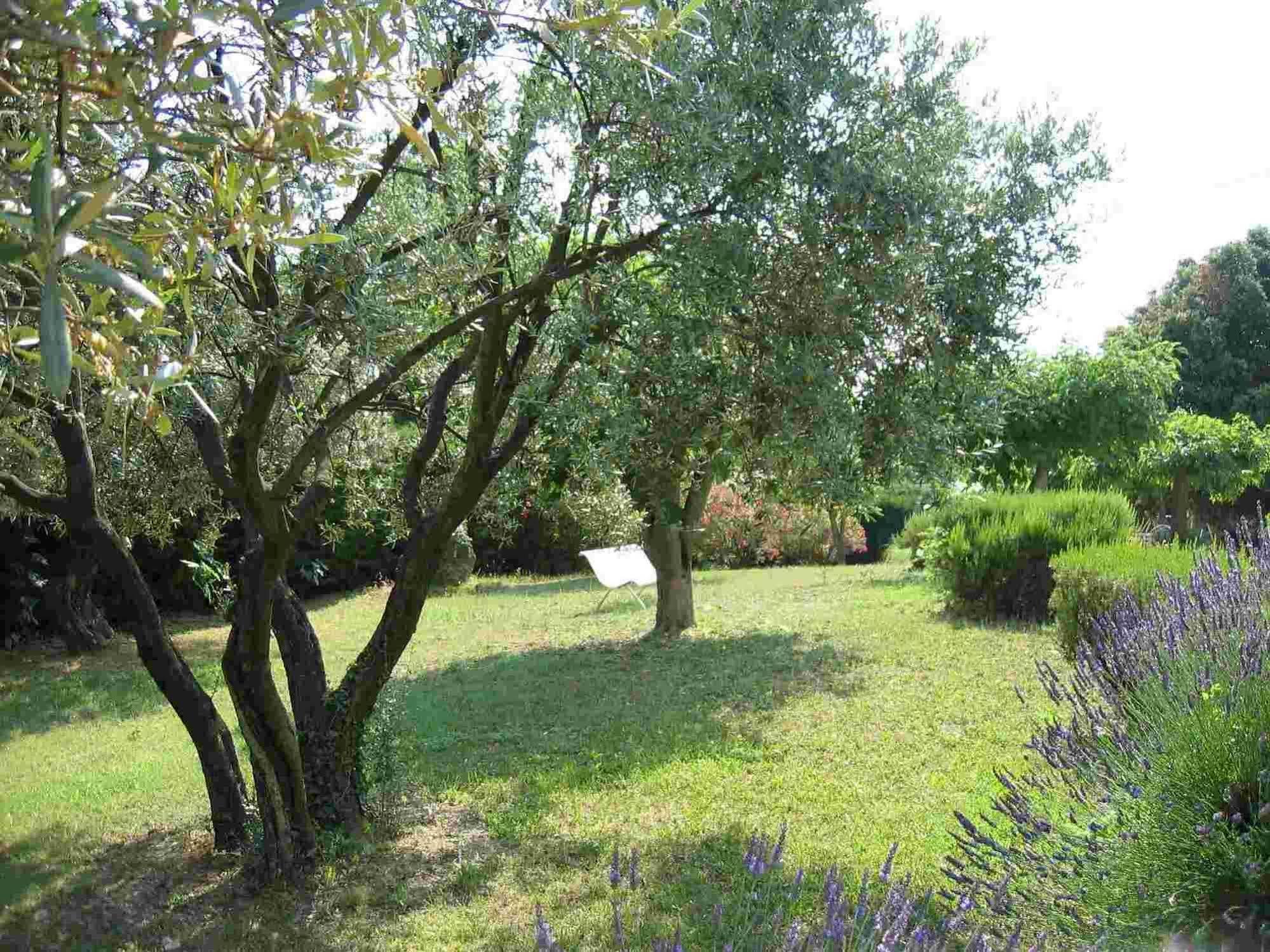 La Vieille Bastide Bed and Breakfast Flayosc Εξωτερικό φωτογραφία